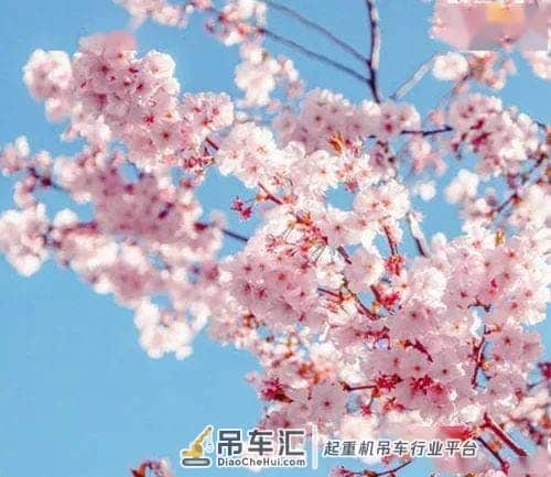 顾峰赴株洲天桥起重机股份有限公司现场解难题
