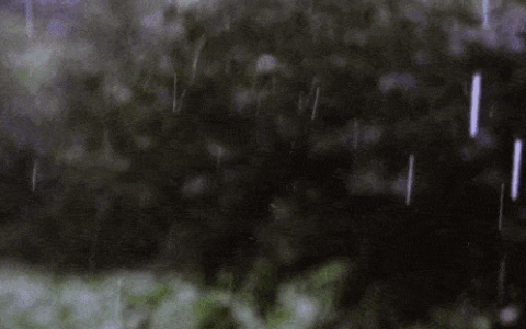 郏县身边事：吊车故障1人悬16米高空2小时！一场急雨，世间百态
