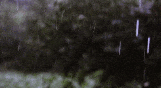 郏县身边事:吊车故障1人悬16米高空2小时!一场急雨,世间百态