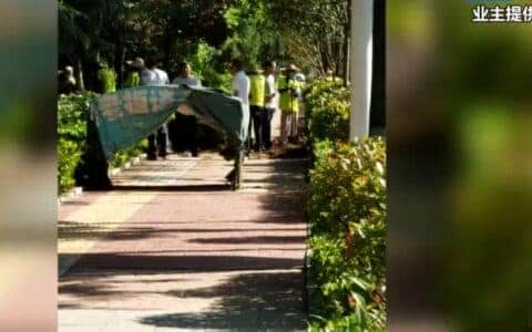 青岛一小区公共建筑被出租，大吊车直接进场了！业主讨说法被恐吓