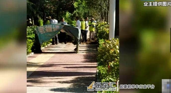 青岛一小区公共建筑被出租，大吊车直接进场了！业主讨说法被恐吓