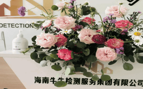 “月薪10000+ 绩效” 高薪资好福利，招起重机械检测员、技术负责人。