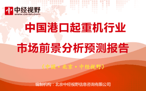 中国港口起重机行业市场前景分析预测报告