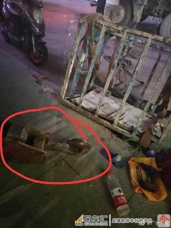 广西柳州两工人高空换招牌，连同吊篮一起坠落