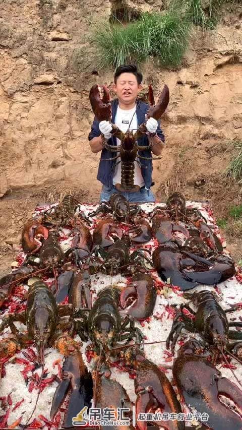 吊车烤骆驼 一顿吃20斤烤羊肉 这样的抖音你还敢让孩子看吗