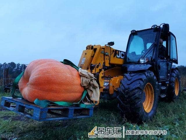 英国男子种出巨大南瓜,用起重机搬运,网友:可以参加吉尼斯记录