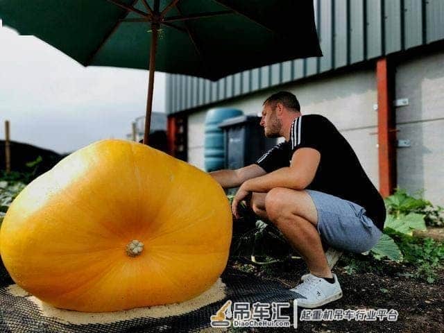英国男子种出巨大南瓜,用起重机搬运,网友:可以参加吉尼斯记录
