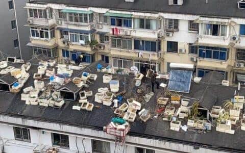 吊车都出动了！杭州这个小区，五卡车都装不完的屋顶垃圾被清理