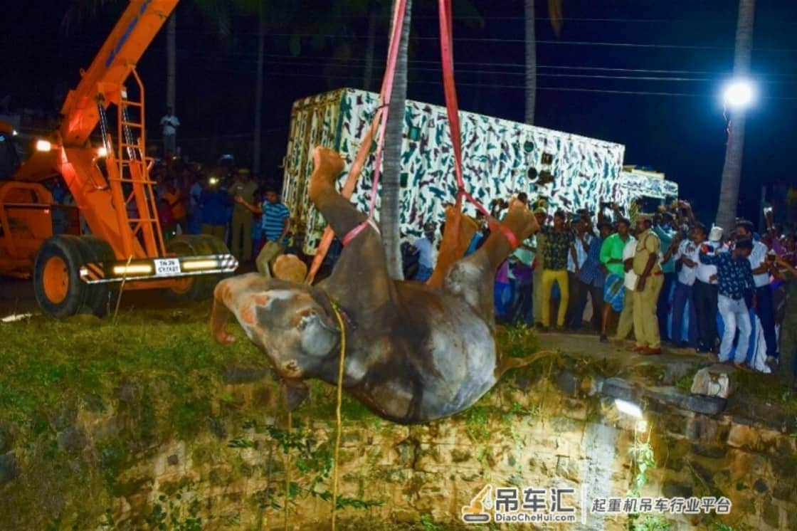 印度野生大象坠入20米深井，折腾16小时才被吊车救出