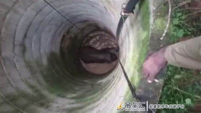 印度野生大象坠入20米深井,折腾16小时才被吊车救出