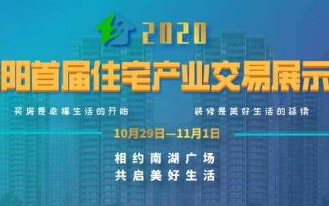 打造百万标箱大港 城陵矶新港二期集装箱泊位首台岸桥门吊吊装完成