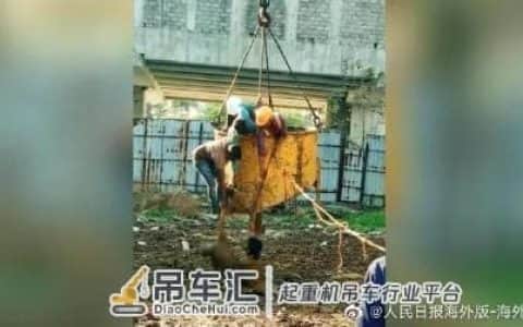 印度10岁男孩跌入牛粪坑淹死：消防进不去，靠吊车拉起