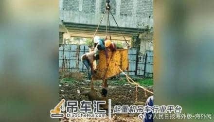印度10岁男孩跌入牛粪坑淹死:消防进不去,靠吊车拉起