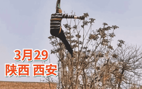 西安一男子用吊车摘香椿！网友直呼成本太高！难怪香椿这么贵！