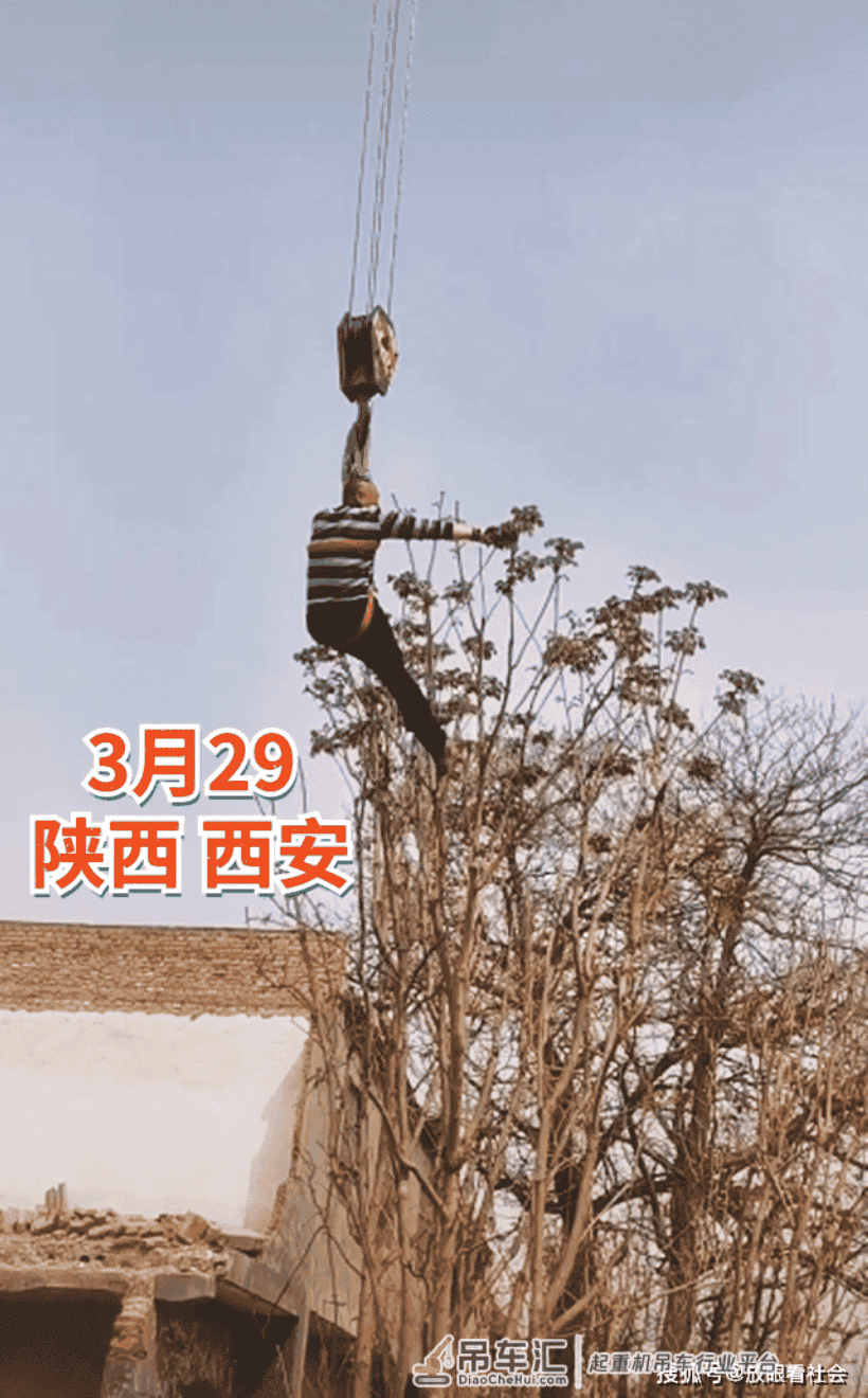 西安一男子用吊车摘香椿！网友直呼成本太高！难怪香椿这么贵！