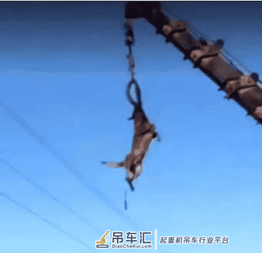 吊车司机把狗狗吊在半空狂甩，现场画面非凡很是危急!