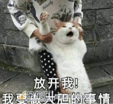 00后宁夏小伙自学开吊车,无证就敢上高速
