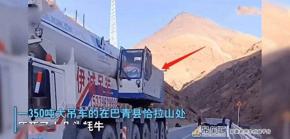 西藏一辆百吨大吊车碾死十多头牦牛,没买保险:损失二十万以上