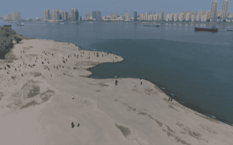 忍一忍！火爆全国的“芜湖网红沙滩”，最近不能去……