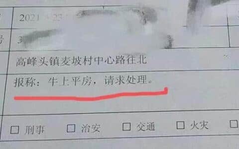 1300斤母牛上房顶“看风景”下不来 民警用吊车救援：我太难了