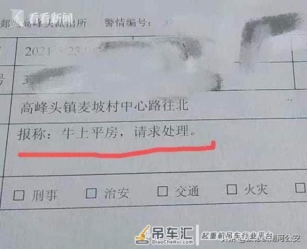 1300斤母牛上房顶“看风景”下不来 民警用吊车救援：我太难了