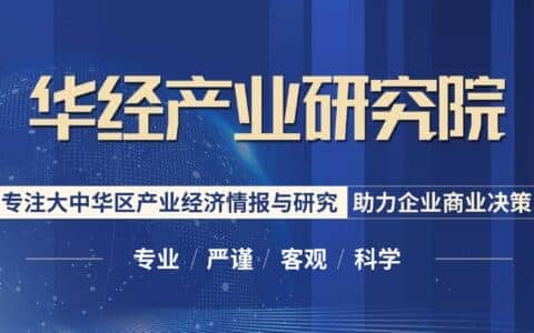 2021-2026年中国龙门起重机行业投资分析及发展战略研究咨询报告