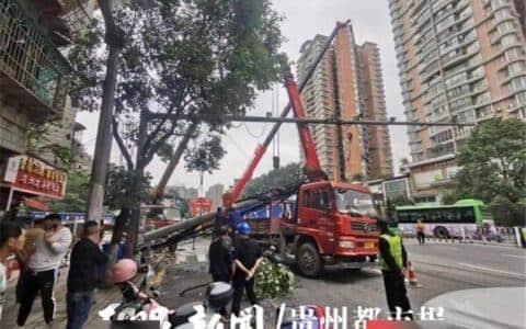 电线杆倒塌，砸中出租车