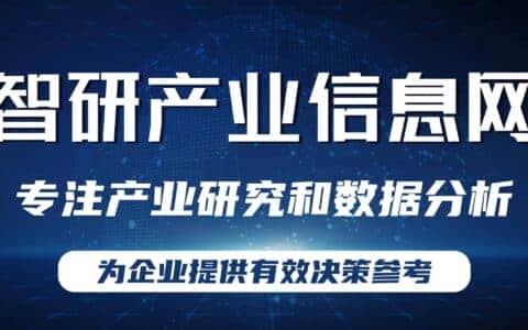 2021-2027年中国起重机工程机械产业竞争现状及市场发展策略报告
