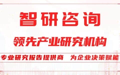 2021-2027年中国工程起重机行业深度调查与未来发展趋势报告