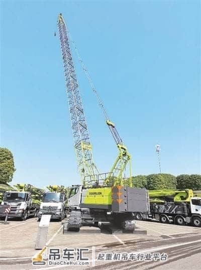 瞧！争抢咱的“大力士”（开局之年干起来⑥）