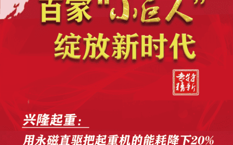 百家小巨人 绽放新时代⑤｜兴隆起重：用永磁直驱把起重机的能耗降下20%