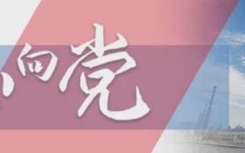 一次刷新亚洲纪录的吊装作业