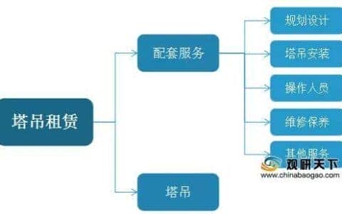 2019年中国塔吊租赁市场规模达到980.0亿元，同比增长15.8%