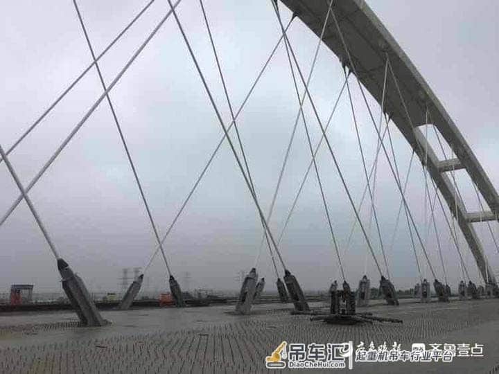 一根吊索重量相当于1.5头亚洲象!齐鲁黄河大桥吊索创世界纪录