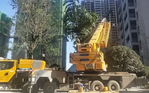 趴40米拆塔吊？xct55最强一战