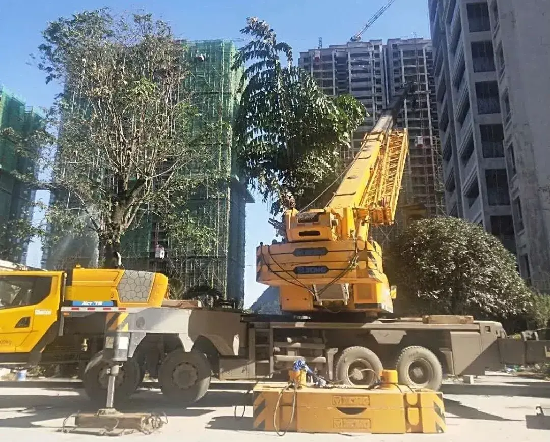 趴40米拆塔吊？xct55最强一战