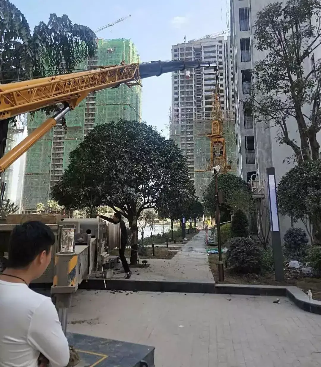 趴40米拆塔吊?xct55最强一战