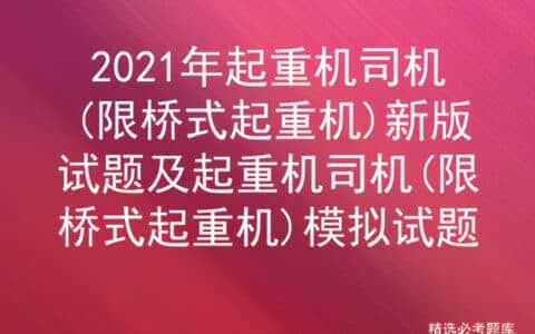 2021年起重机司机(限桥式起重机)新版试题及模拟试题