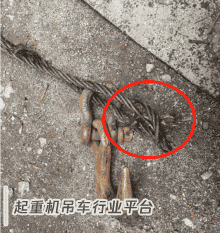深圳一工人贪图方便站在吊装的集装箱上作业,钢丝绳断裂致其坠落身亡