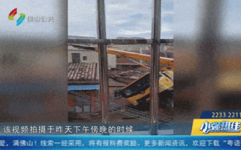 飞来横祸！佛山有村民花3000元找人砍树，结果吊车臂连砸5屋…