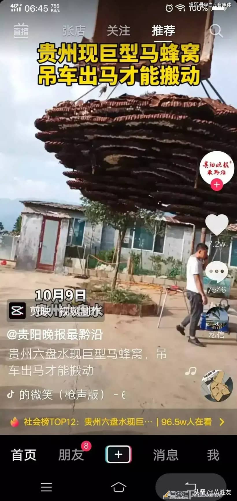 贵州现巨型马蜂窝 用吊车才能搬动