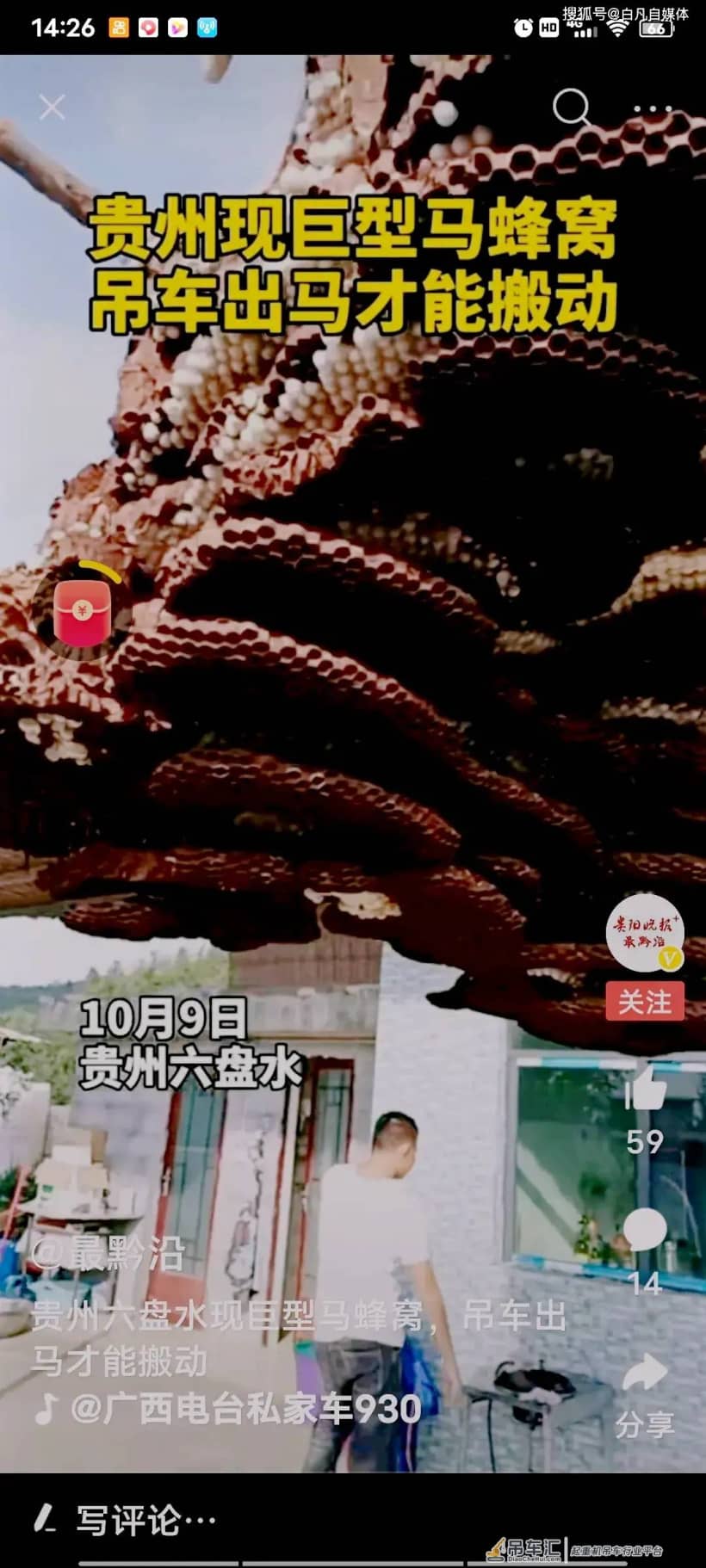 贵州现巨型马蜂窝 用吊车才能搬动