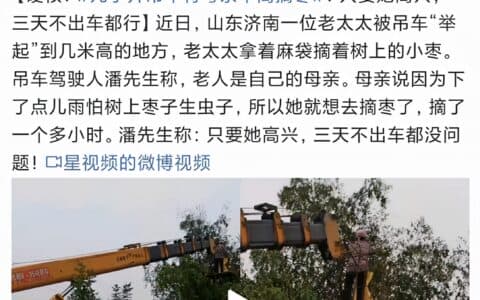 “儿子开吊车将母亲举高摘枣”：当他们笑了，你才真的孝了