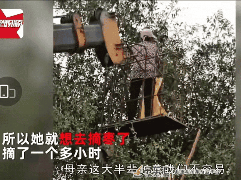 “儿子开吊车将母亲举高摘枣”:当他们笑了,你才真的孝了