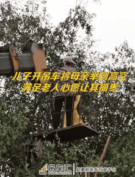 孝顺!山东一男子开吊车配合母亲摘枣:父母养我们不容易