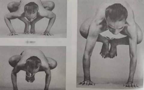 152.起重机式（Bakasana）