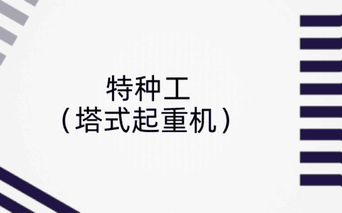 广东最新特种工（塔式起重机）模拟题集及答案