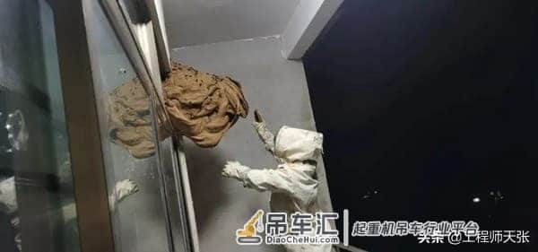 贵州出现巨型马蜂窝,吊车出马才能搬动!能破吉尼斯记录吗?