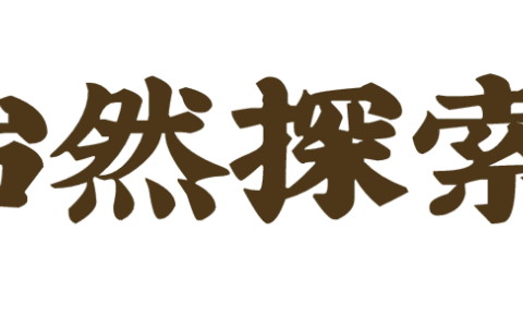 历经30余年，中国起重机技术站上世界之巅，摘掉“技术弱国”帽子