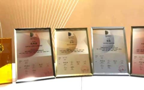 1金1银成最大赢家！2021年”潇湘杯”中联重科极致美学领”秀”群雄